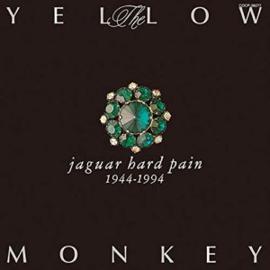 Jaguar Hard Pain Cover