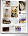 Famitsu Cat Day - Page 16