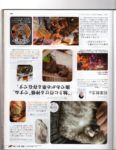Famitsu Cat Day - Page 20