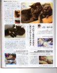 Famitsu Cat Day - Page 22