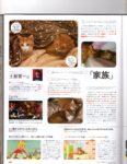 Famitsu Cat Day - Page 3