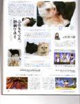 Famitsu Cat Day - Page 4