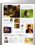 Famitsu Cat Day - Page 5
