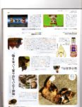 Famitsu Cat Day - Page 6