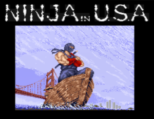 Ninja Gaiden - Ninja in USA