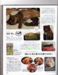 Famitsu Cat Day - Page 19