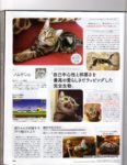 Famitsu Cat Day - Page 21